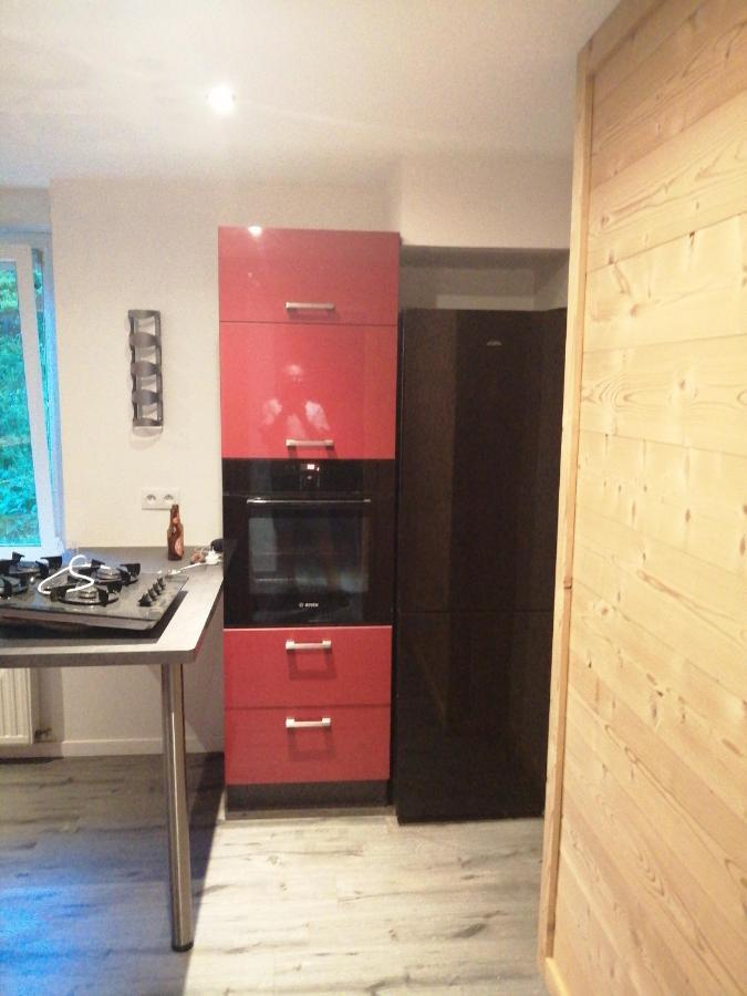 Appartement les champis La Bresse Extérieur photo